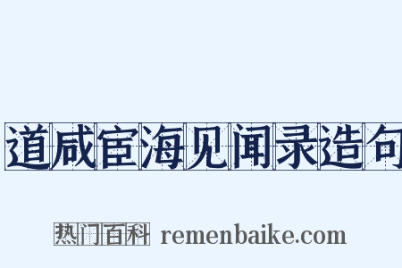道咸宦海见闻录造句是什么意思的图片
